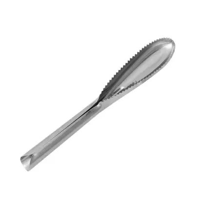 Stainless Steel Fish Scale Remover Kitchen Tool