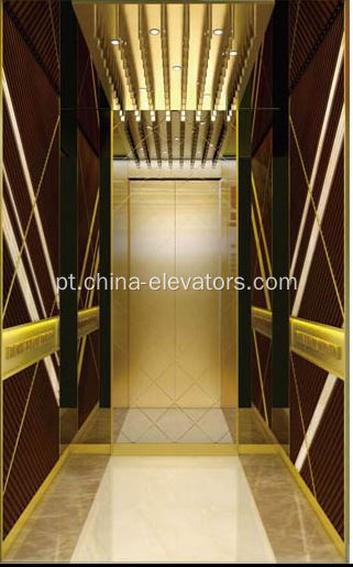 Conjunto da cabine do elevador de passageiros