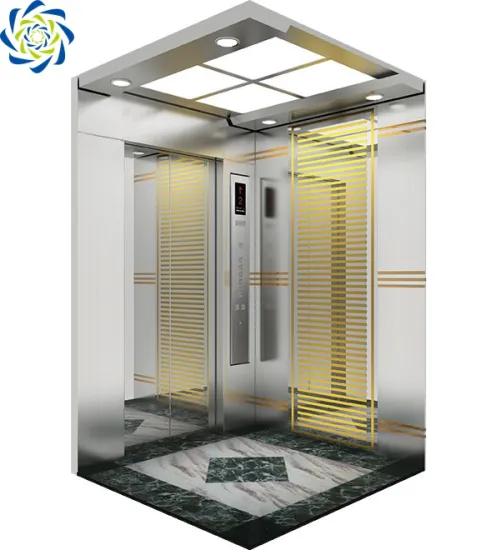 High Quality 450kg Passenger Lifts Elevator from China - Webstar