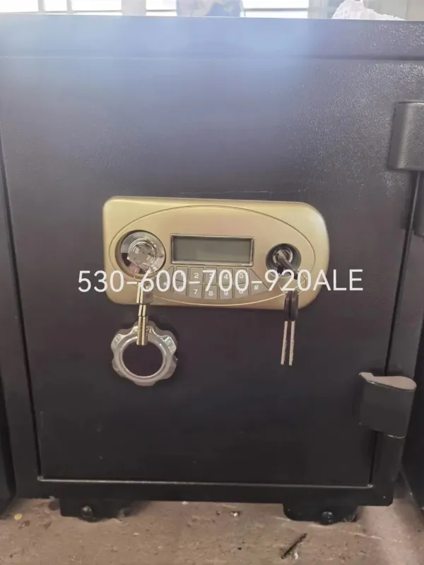 Fireproof Safe with Electronic Resistance