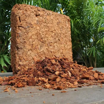 Reptile Pet Supplies: Compressed Coco Coir, Coconut Chip, Block, and Brick for Snake Housing