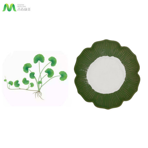 Anti Inflammatory Cosmetic Ingredients Centella Asiatica Extract Gotu Kola Extract Powder Supplier