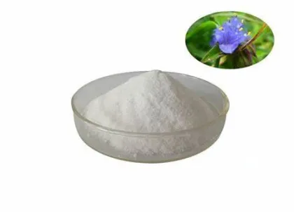 Dew Grass Extract Beta Ecdysone Powder
