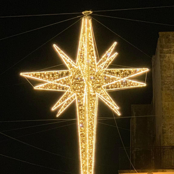 2022 Newest Top-Quality Outdoor Christmas LED Pole Light