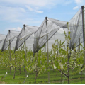 Malla de plástico resistente a los rayos UV Anti Bird Net