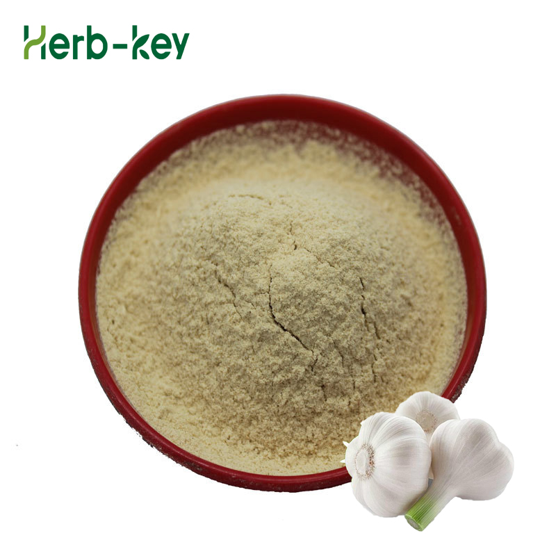 garlic extract allicin lipid garlic extract powder