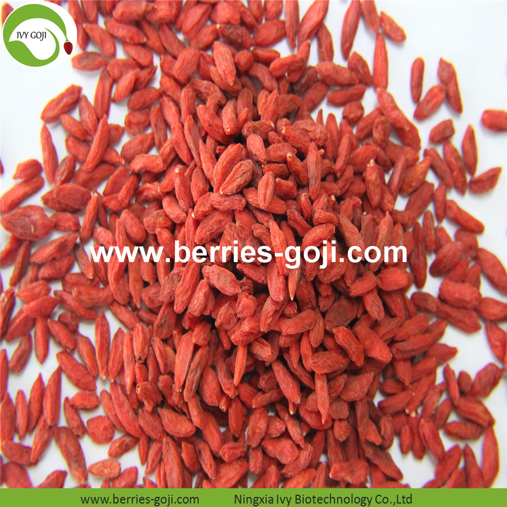 Goji berry