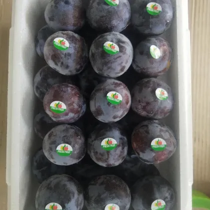 Fresh DeliciousTastyGood Quality Plum