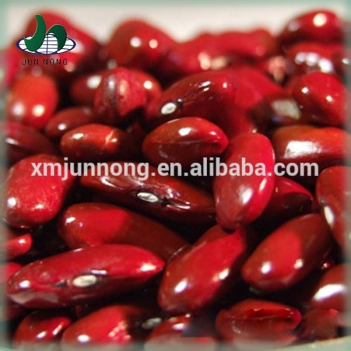 Different types canned red kidney beans production