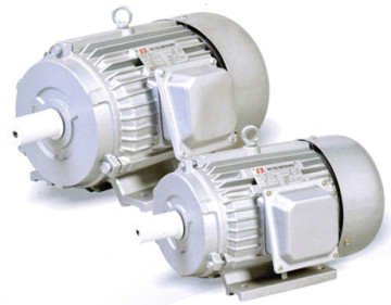 Y Series Three-phase Asynchronous Motor