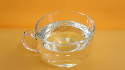 Fructose corn syrup uric acid