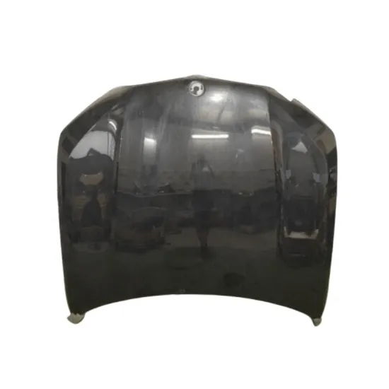 High-Quality OEM Auto Bonnet for BMW X5 G05 2020 - Part Number 41007492375