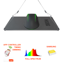 Scheda quantistica a LED a LED indoor