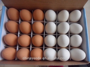 2016 Hot Egg Shaped Bounce Balll ,printed rubber egg balls