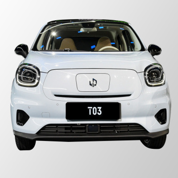 LEAPMOTOR T03: 4-Seater Low-Speed Pure Electric Vehicle