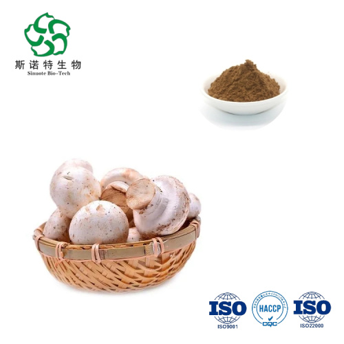 Animal Husbandry Materials White Button Mushroom Extract Agaricus Bisporus powder Manufactory