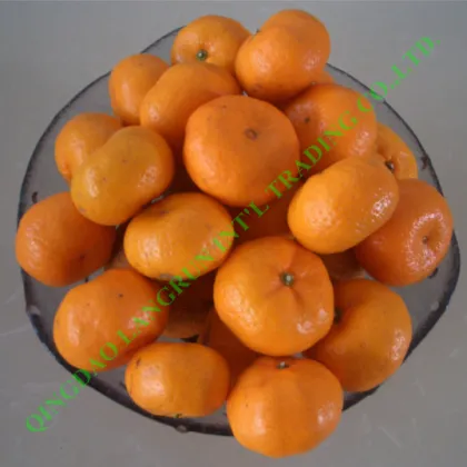 Fresh Mandarin Orange (Nanfeng)