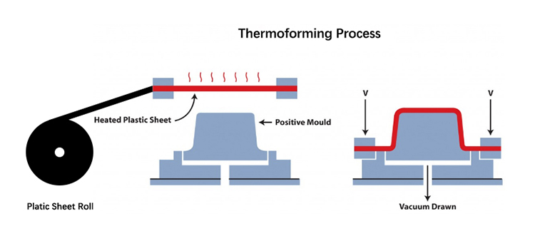 Thermoforming Process