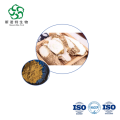 Angelica Sinensis Root Extract Bulkbuy for Nutraceuticals