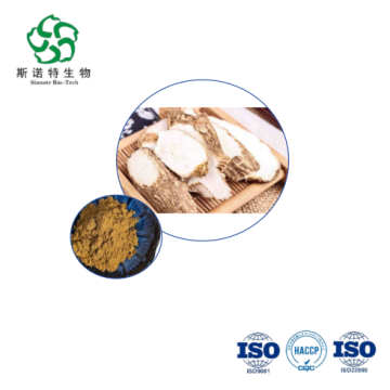 Angelica Sinensis Root Extract Bulkbuy for Nutraceuticals