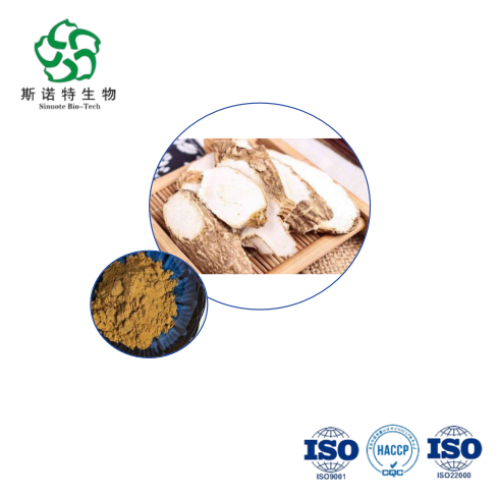 Angelica Sinensis Root Extract Bulkbuy for Nutraceuticals