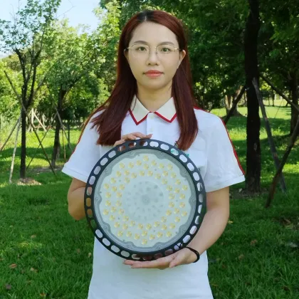 High Shed UFO Industrial and Mining Lights