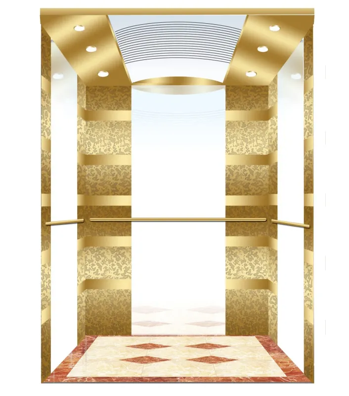Sydney 800kg 1.75m/s Passenger House Panoramic Cargo Residential Elevator