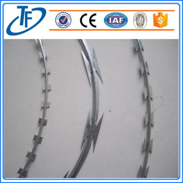 Galvanized straight line razor wire