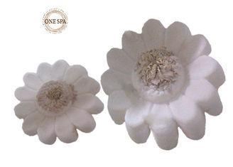 Heart Sweet Candy Fizzy Bath Bombs in chrysanthemum / Menth