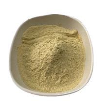 Factory price radix ginseng panax notoginseng extract