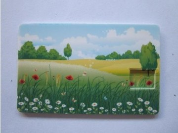 OEM USB Business Credit Card, USB Card, Card USB Flash Drive