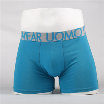 Print In Waistband Men's Bikini Underwear 2013