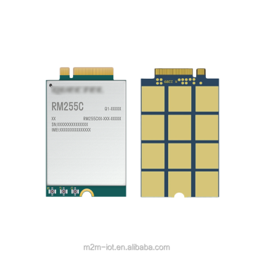 5G Module RedCap RM255CGL00AA-4M2-SGASA