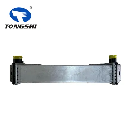 TONGSHI Cooling System Truck Radiator & Auto Radiator for JSB