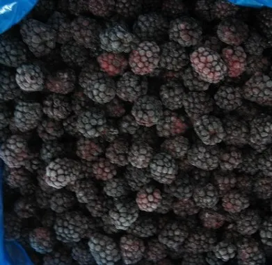 frozen blackberry