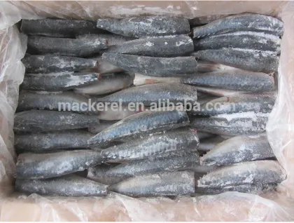 Frozen Seafood Pacific Mackerel Hgt Fish