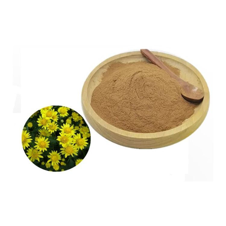 Wild Chrysanthemum Extract