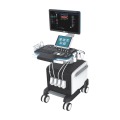 Trolley -Farbdoppler -Ultraschalldiagnosesystem