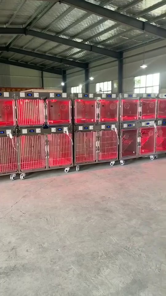 Stainless Steel Veterinary ICU Oxygen Chamber Cage