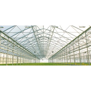Factory Price Easily Installed Agricultural Greenhouse