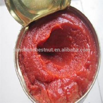 400g Chinese Standard Canned Vegetable Tomato Paste