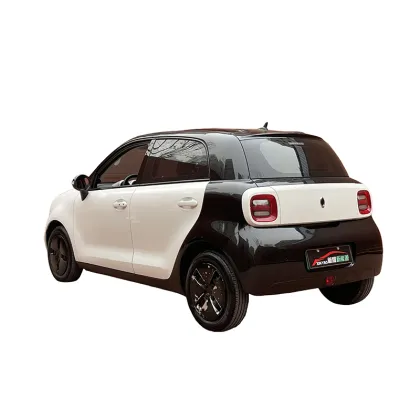 ORA Black Cat 301 Edition All-electric vehicle