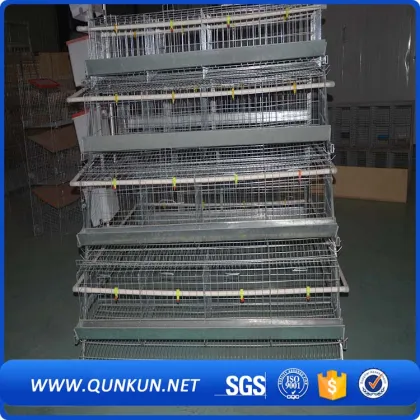 Frame Chicken Farm Equipment 3 Tiers 4 Doors 96 Capacity