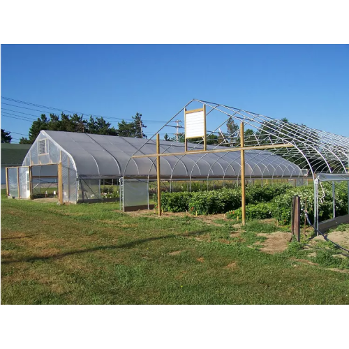 Túnel agrícola Span Túnel Strawberry Greenhouse