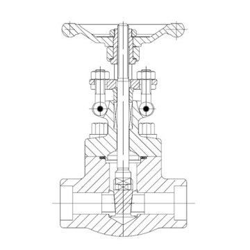 Forged Steel Gate Valve (SW/Threaded End)