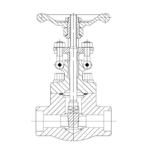 Forged Steel Gate Valve (SW/Threaded End)