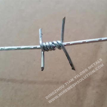 Recinto di filo spinato in acciaio zincato / inox