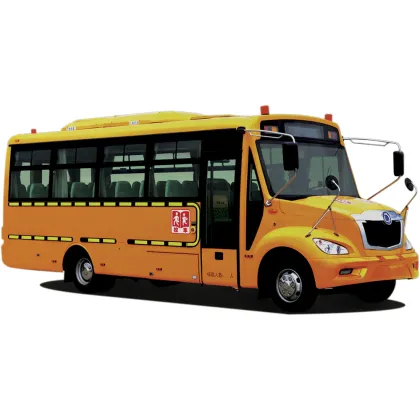 SCHOOL BUS SLK6800