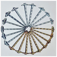 BWG9 umbrella head galvanized roofing nail