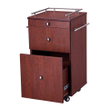 Convenient salon tool storage cabinet